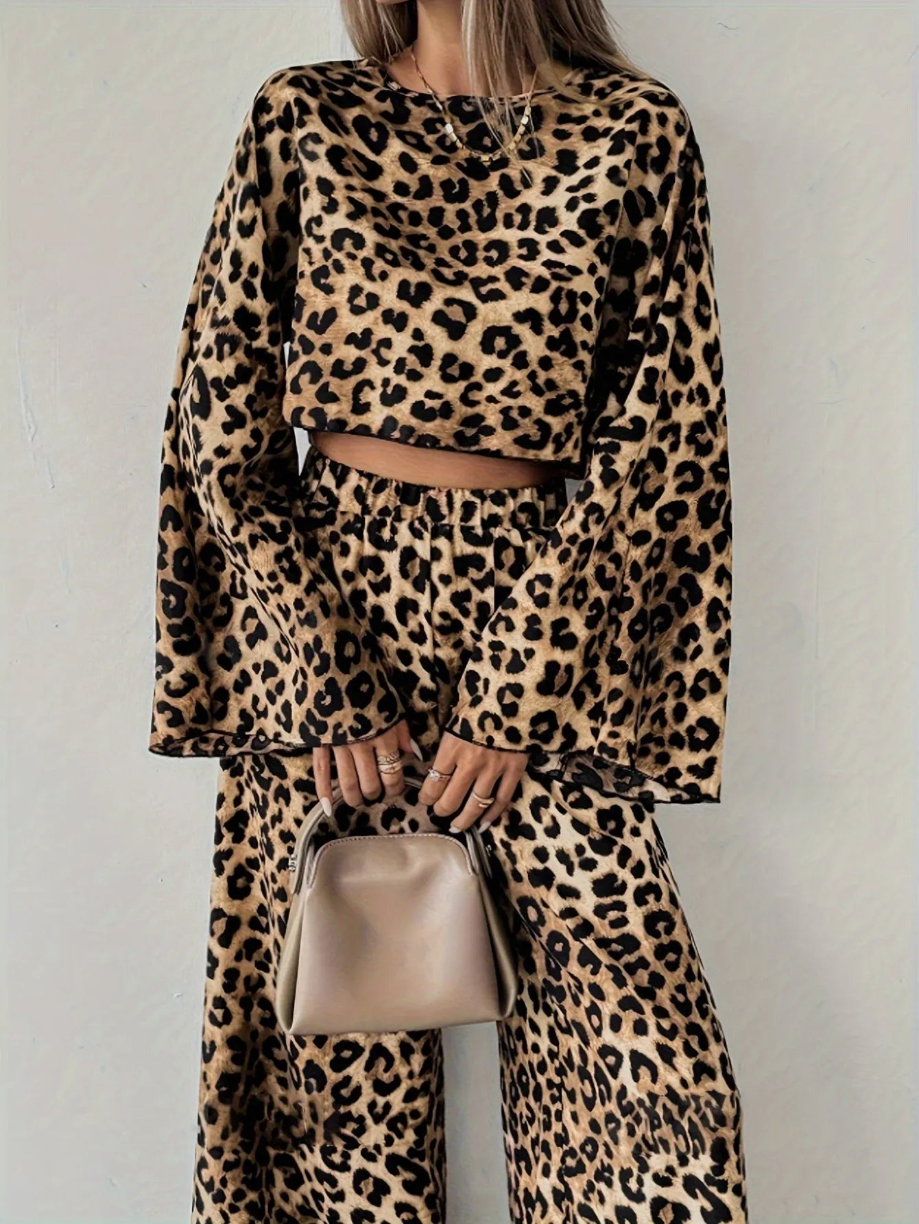 Leopard Print Crop Top and Pants