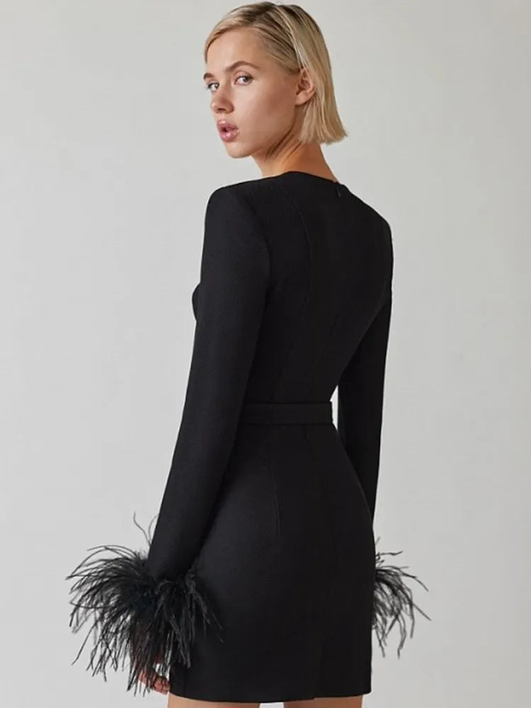 Long sleeve dress with feathers